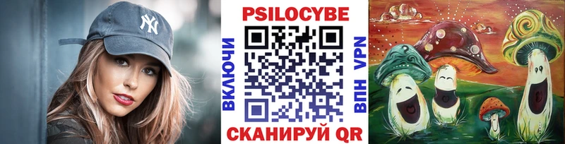 MEGA сайт  продажа наркотиков  Калачинск  Псилоцибиновые грибы Psilocybine cubensis 