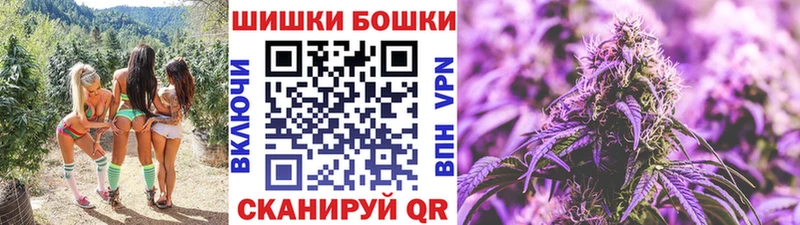 где купить наркоту Калачинск Канабис сатива